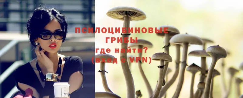 Псилоцибиновые грибы Psilocybe  Алапаевск 